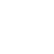 crane icon