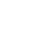houses icon